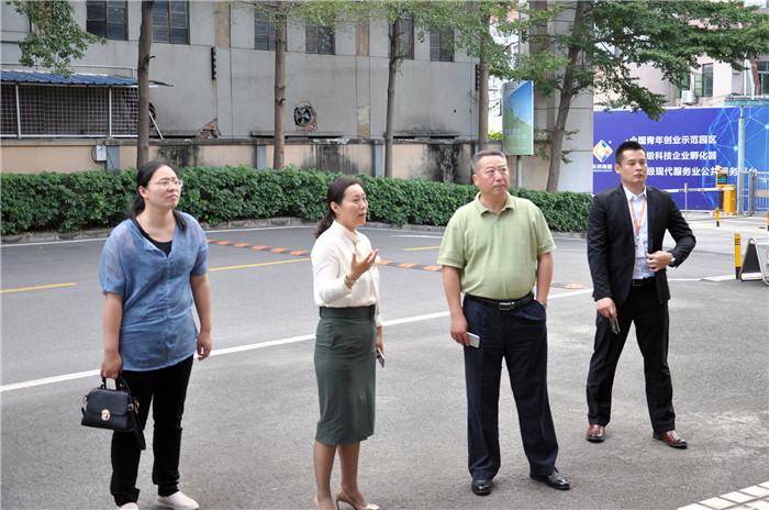 江蘇省泰州市新能源產(chǎn)業(yè)園區(qū)一行蒞臨東科集團參觀交流
