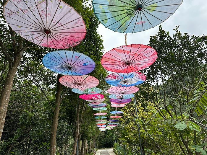 同心逐夢(mèng)，溫暖同行 —— 東科集團(tuán)20周年慶團(tuán)建精彩回顧！