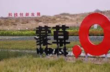 內(nèi)蒙古總結(jié)創(chuàng)業(yè)孵化器平臺建設(shè)工作，取得可喜成績