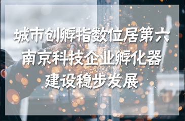 城市創(chuàng)孵指數位居第六 南京科技企業(yè)孵化器建設穩(wěn)步發(fā)展