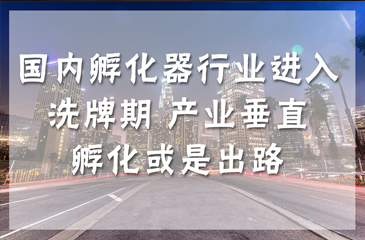 國內(nèi)孵化器行業(yè)進入洗牌期 產(chǎn)業(yè)垂直孵化或是出路