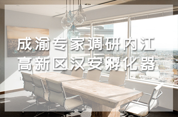 成渝專(zhuān)家調(diào)研內(nèi)江高新區(qū)漢安孵化器